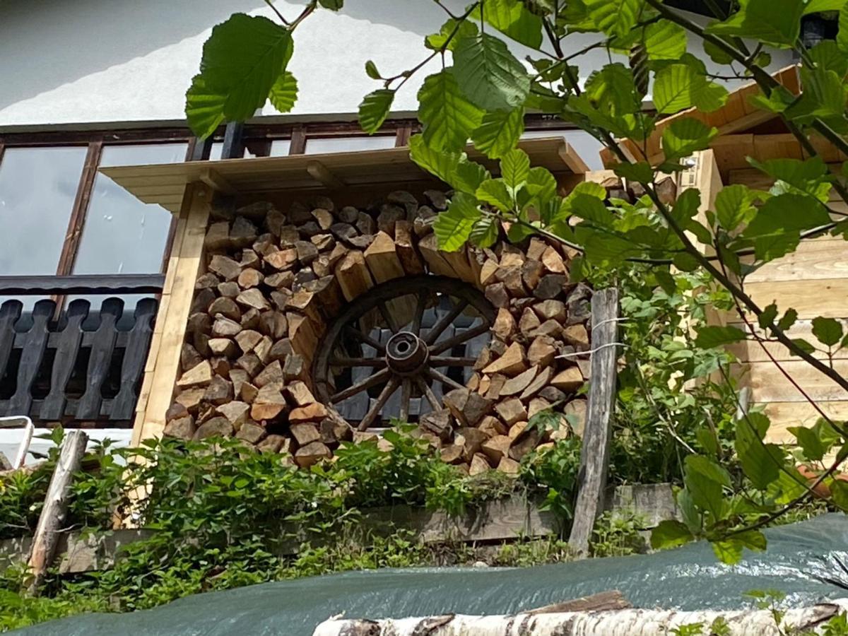 La Irmania Pension Ledenitzen Extérieur photo