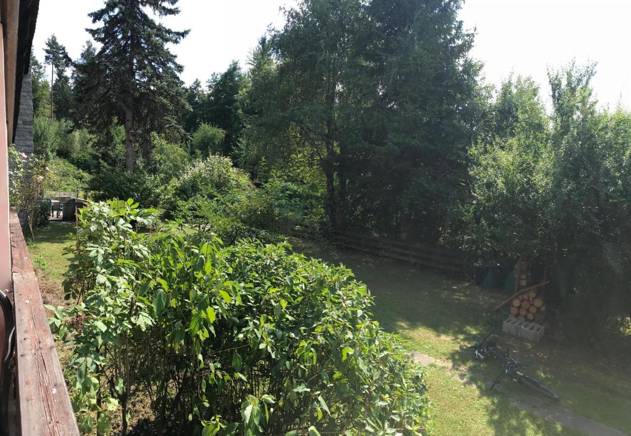 La Irmania Pension Ledenitzen Extérieur photo